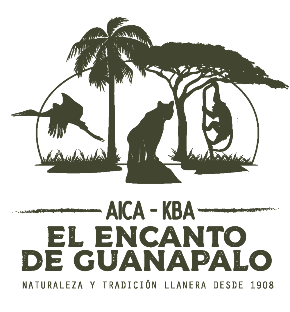 Guanapalo